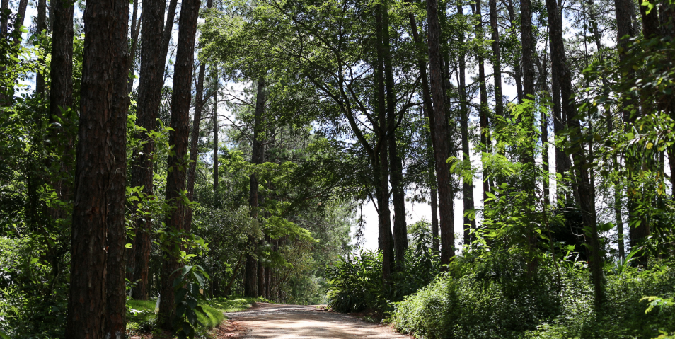 Banner Carrossel Homepage